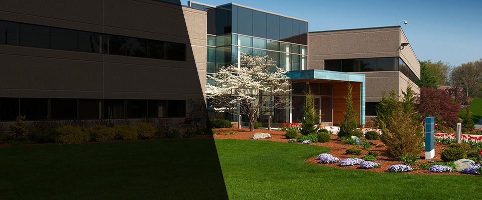 Ripon Landscapers