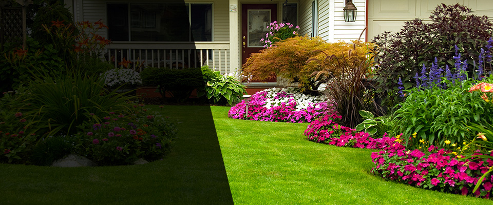Ripon Landscapers