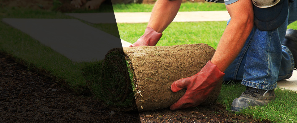 Ripon Landscapers